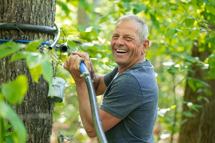 Kanadas Produzenten melden exzellente Ahornernte / Sieben Millionen neue Zapfstellen geplant